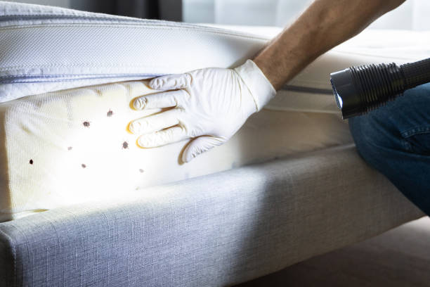 Best Pest Inspection Near Me  in Zion, PA