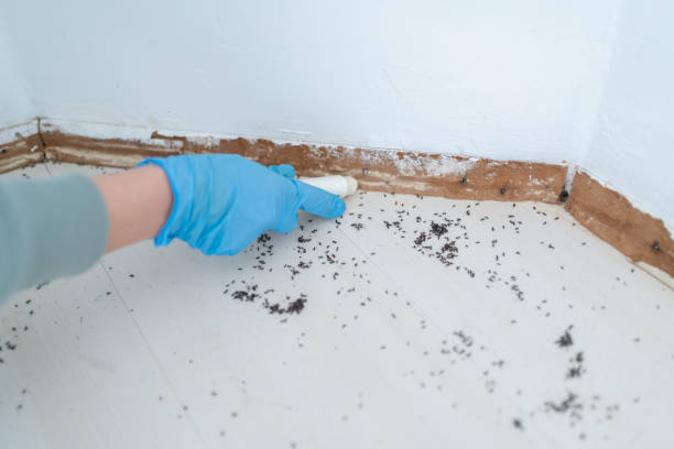 Best Exterminator Services  in Zion, PA